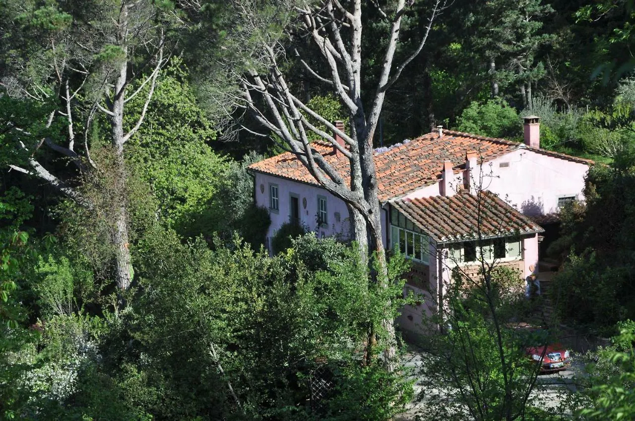 Holiday home La Gioiella Villa Aramo