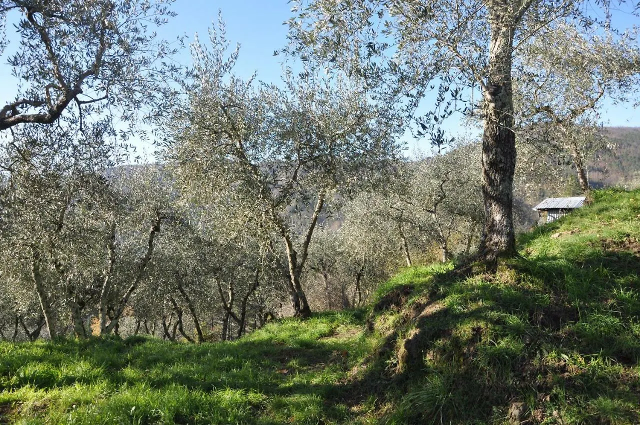 La Gioiella Villa Aramo