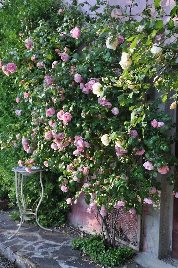 AramoLa Gioiella别墅 意大利