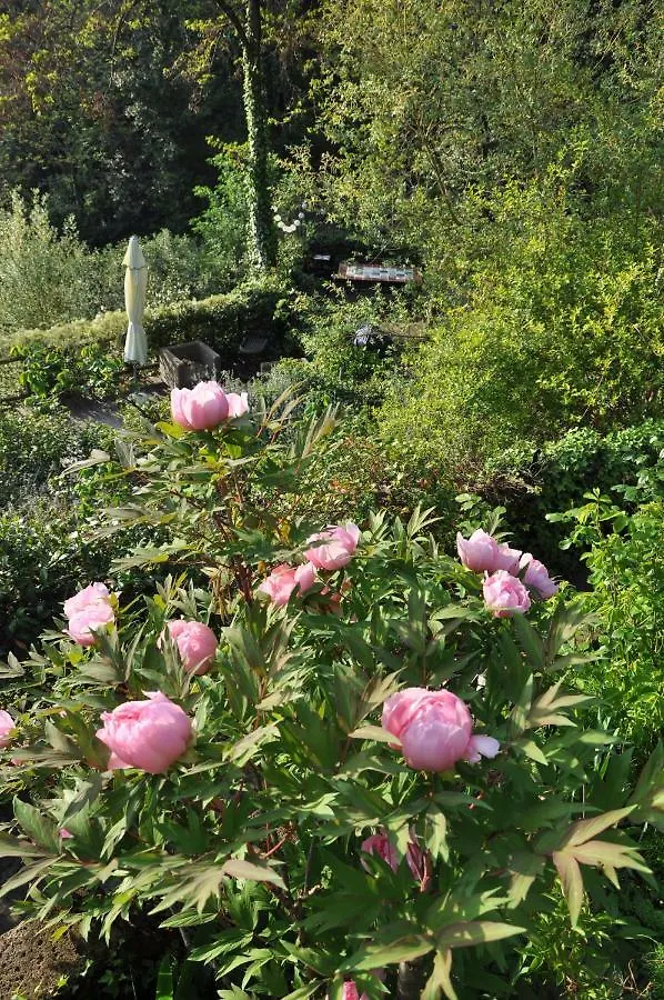 La Gioiella Villa Aramo Holiday home